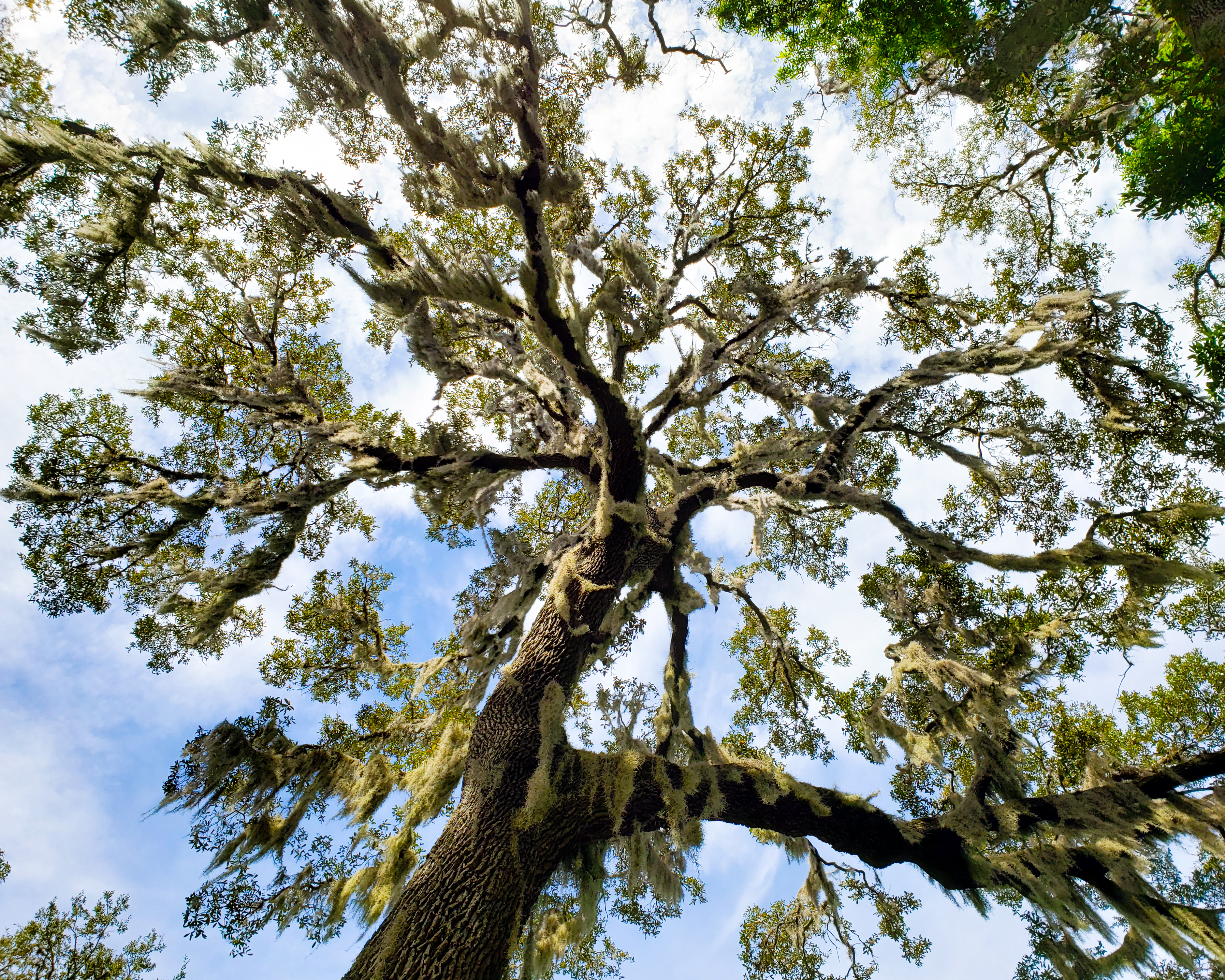 LRM_EXPORT_84087252743024_20190415_225632390